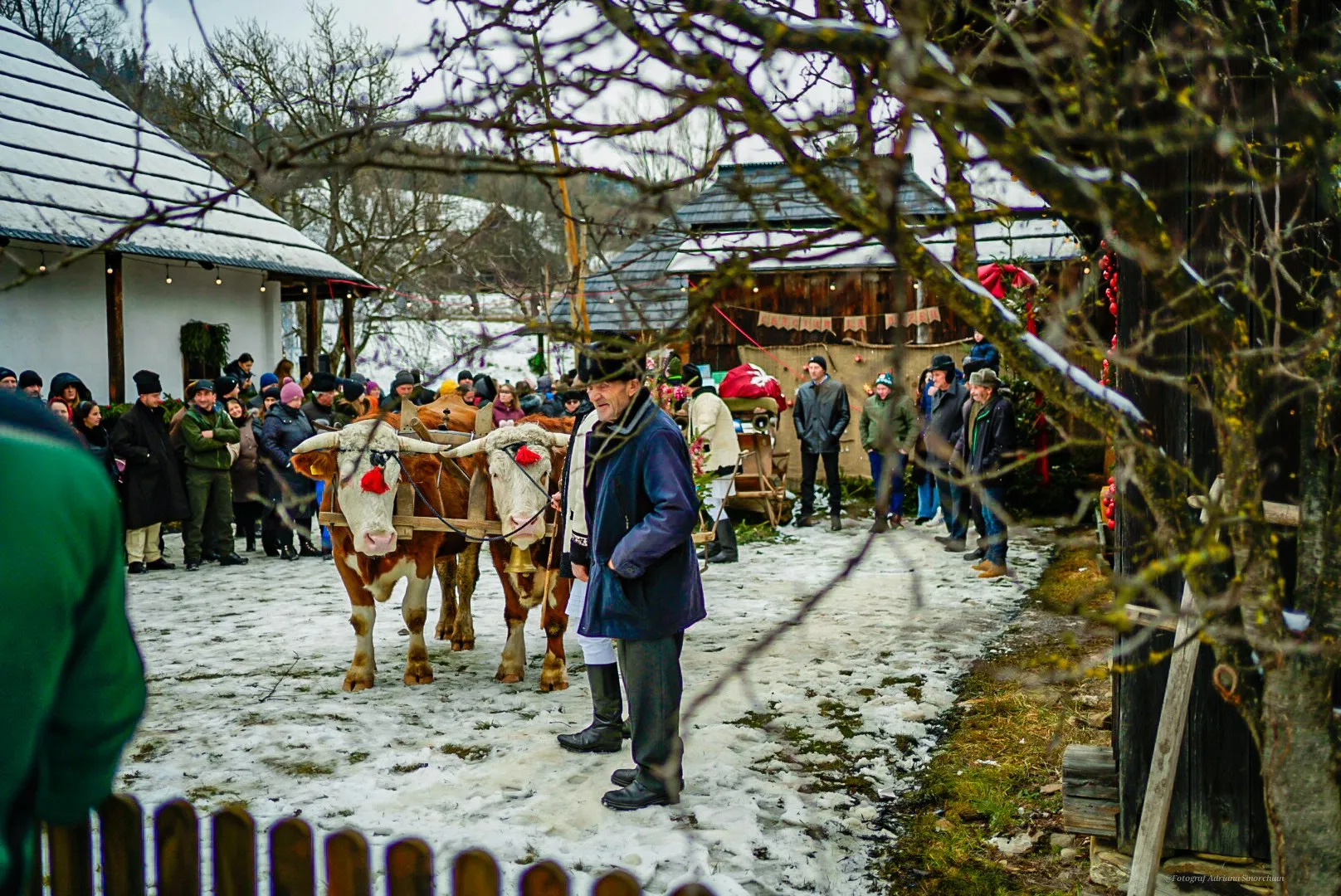 Crăciun la Muzeu - 2024